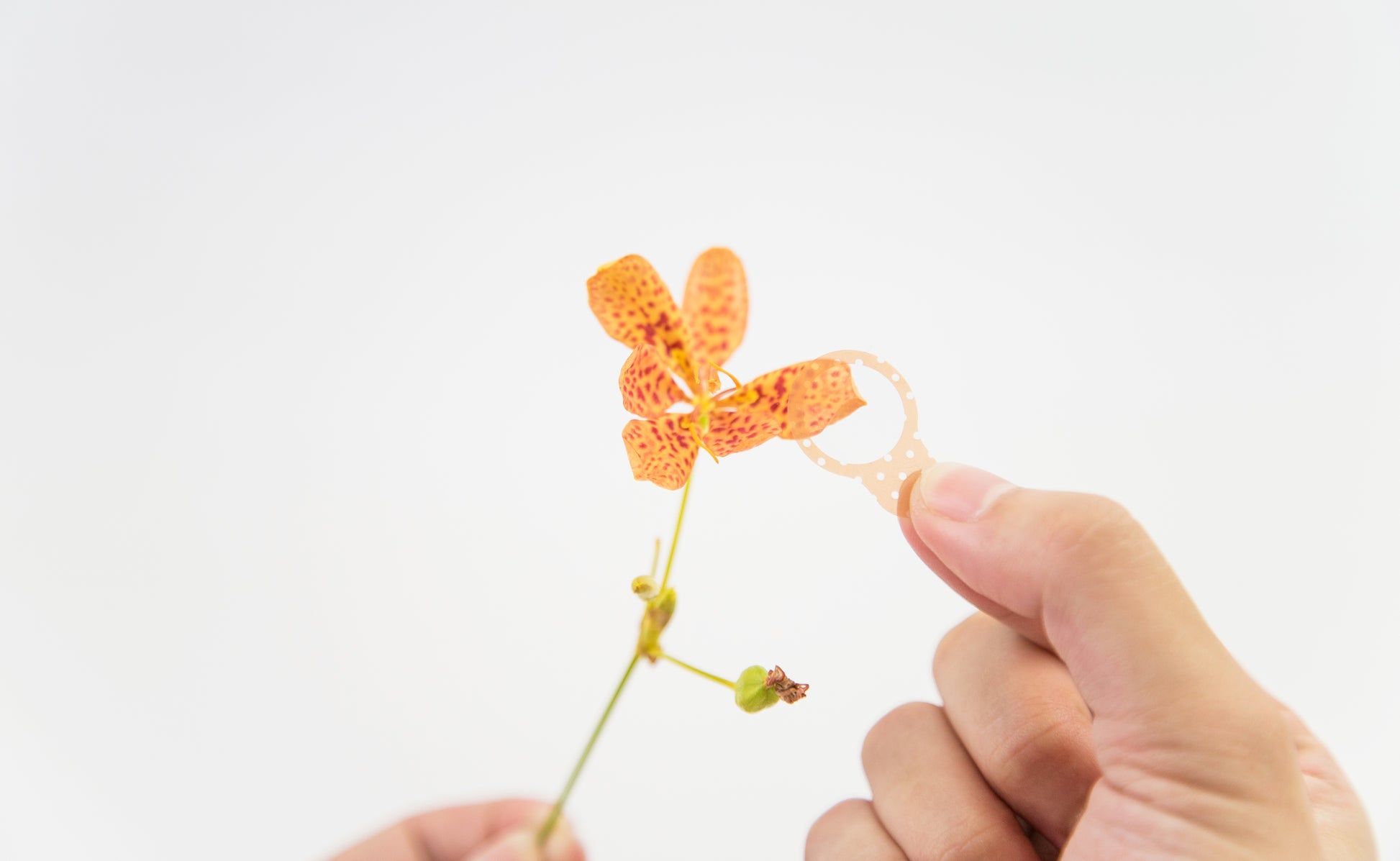 Sampling Stickers (Flat)